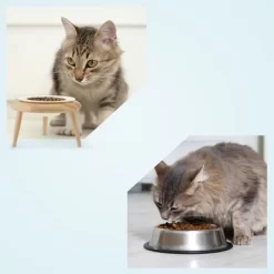 Unique Bargains Elevated Cat Bowl Beige 1 Set 10 Unique Bargains Elevated Cat Bowl Beige 1 Set -BlueBuffalo Sales Store GUEST b81bb243 66a3 49b6 a0f0 b0a6eb7f161a