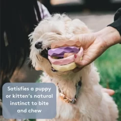 Sweet Paws Silicone Teether Stack Toy Set -BlueBuffalo Sales Store GUEST b86599a3 eee1 440d b875 65d8fddf7f90