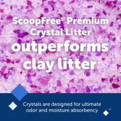 PetSafe ScoopFree Lavender Scented Non-Clumping Crystal Cat Litter - 2pk/72oz -BlueBuffalo Sales Store GUEST b86d7b7b 88e9 487c b133 360f81d7a49a