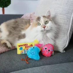 Quirky Kitty Robin's Eggs Cat Plush Toy -BlueBuffalo Sales Store GUEST b936497a eb5a 462d b3b7 89ff8bb810ab