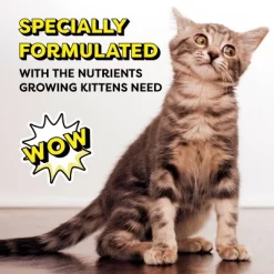 Temptations Chicken And Milk Flavor Dry Cat Food - 6.3lbs -BlueBuffalo Sales Store GUEST b962d480 ccdf 4815 8a47 6e7a7008a897