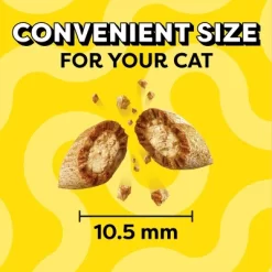 Temptations Classic Savory Seafood And Salmon Flavor Crunchy Cat Treats - 6.3oz 12 Temptations Classic Savory Seafood And Salmon Flavor Crunchy Cat Treats - 6.3oz -BlueBuffalo Sales Store GUEST bc45e045 58f0 4677 9843 e06a479b79bc
