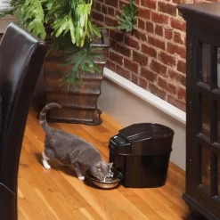 PetSafe Healthy Automated Pet Feeder For Cats And Dogs - Black 12 PetSafe Healthy Automated Pet Feeder For Cats And Dogs - Black -BlueBuffalo Sales Store GUEST bcd20a33 638a 4de0 a4d8 ee98c7d2be81