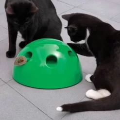 Pets Know Best Pop N' Play Cat Toy 17 Pets Know Best Pop N' Play Cat Toy -BlueBuffalo Sales Store GUEST bd864a35 532b 4a40 84b5 6e4169c134c0