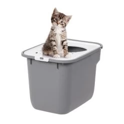 IRIS USA Square Top Entry Cat Litter Box, Kitty Litter Pan With Litter Particle Catching Cover And Privacy Walls, Cat Pan -BlueBuffalo Sales Store GUEST be39501e 070c 4687 8a18 407949f6ffaf