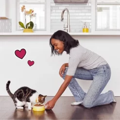 Temptations Tasty Chicken Flavor Dry Cat Food -BlueBuffalo Sales Store GUEST c29724d4 17e5 419b a412 840258c26cd2 1