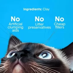 Boxiecat Unscented 30 Day Odor Control Clumping Clay Cat Litter -BlueBuffalo Sales Store GUEST c3324ee2 2e63 4e10 bcb6 9eb5fa6a999c