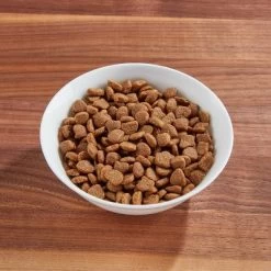 IAMS Proactive Health Urinary Tract Health With Chicken Adult Premium Dry Cat Food 9 IAMS Proactive Health Urinary Tract Health With Chicken Adult Premium Dry Cat Food -BlueBuffalo Sales Store GUEST c5e2cb99 7e02 4b27 97ea f580784720b5