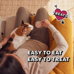 Temptations Cheese, Salmon, Tuna And Chicken Flavor Lickable Spoons Cat Treats -BlueBuffalo Sales Store GUEST c8a84773 ad4c 4760 8659 18900902f905