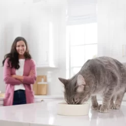 Blue Buffalo Tastefuls Savory Singles Adult Cuts In Gravy Wet Cat Food Variety Pack With Chicken And Turkey Entrée - 12ct/31.2oz -BlueBuffalo Sales Store GUEST c933b2ef e8ad 4d53 95ba e0b0b90e07bb 1