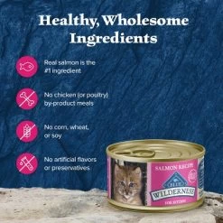 Blue Buffalo Wilderness High Protein Grain Free Natural Kitten Pate Wet Cat Food With Salmon Recipe - 3oz -BlueBuffalo Sales Store GUEST caa11d6a 9748 4670 a1e7 f5e9785e01a1