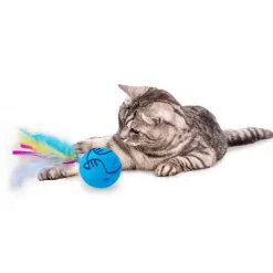 All For Paws Allforpaws Interactive Cat Toy Dizzy Spinner, Blue -BlueBuffalo Sales Store GUEST cd97a7f5 e07e 47f3 86eb 1230230dd017