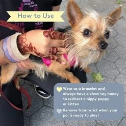 Sweet Paws Silicone Teether Stack Toy Set -BlueBuffalo Sales Store GUEST cddb1290 6701 4cee 8c39 091cb227d418