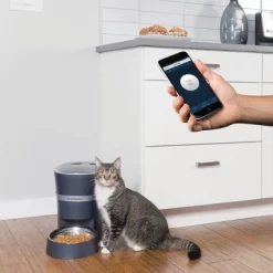 PetSafe Smart Feed Automatic Dog And Cat Feeder - Blue -BlueBuffalo Sales Store GUEST ceba22f6 8f8a 4124 a264 4ab722dabe71