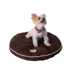 Armarkat Round Blanket Bed For Indoor Dogs Cats. Pet Bed Cushion House M04 16 Armarkat Round Blanket Bed For Indoor Dogs Cats. Pet Bed Cushion House M04 -BlueBuffalo Sales Store GUEST cf1a3e8e ff5f 4c3f 97ff 2133f4c9a746
