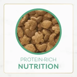 Purina Fancy Feast With Ocean Fish, Salmon & Garden Greens Adult Gourmet Dry Cat Food - 48oz 20 Purina Fancy Feast With Ocean Fish, Salmon & Garden Greens Adult Gourmet Dry Cat Food - 48oz -BlueBuffalo Sales Store GUEST cf29d950 34ad 4498 a352 66a2ac935426