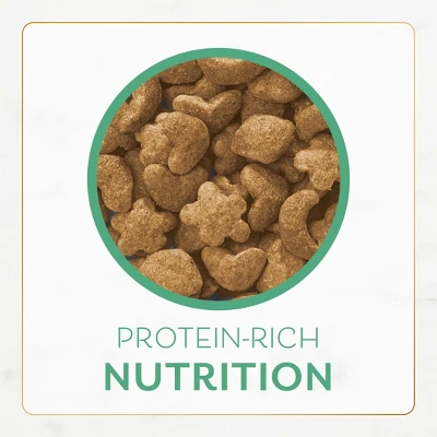 Purina Fancy Feast With Ocean Fish, Salmon & Garden Greens Adult Gourmet Dry Cat Food - 48oz 8 Purina Fancy Feast With Ocean Fish, Salmon & Garden Greens Adult Gourmet Dry Cat Food - 48oz - Image 8