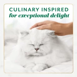 Fancy Feast Gems Chicken And Beef Flavor Wet Cat Food - 2oz/16ct -BlueBuffalo Sales Store GUEST cfaed953 6e23 4fe9 bffb 8b00ab0ba803