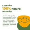 Almo Nature: HQS Natural Kitten Whitefish W/ Mackerel In Broth Can Food, 24 Pack