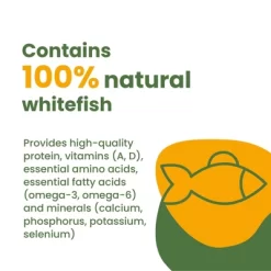 Almo Nature: HQS Natural Kitten Whitefish W/ Mackerel In Broth Can Food, 24 Pack