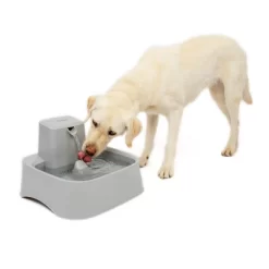 PetSafe Drinkwell Pet Fountain - Gray -BlueBuffalo Sales Store GUEST d14480b4 4e11 460b 8722 9df6792c6bd9