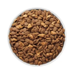 Purina ONE Tender Selects Blend With Real Salmon Adult Premium Dry Cat Food