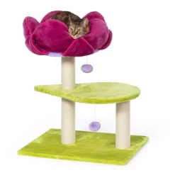 Prevue Pet Products Flower Power Cat Scratching Post, Green & Pink Fabric 7320 -BlueBuffalo Sales Store GUEST d19e6dc9 c696 4b09 9d94 d1f1aa8bbb0e