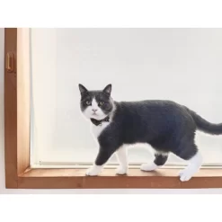 Necoichi Gilded Gold Bow Tie Cat Collar -BlueBuffalo Sales Store GUEST d1a1ef6b 7fc9 4757 bafa b64434e1b53c