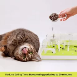 All For Paws Allforpaws Interactives Cat Toy Puzzle Cat Slow Feeder Treat Maze