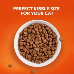 IAMS Proactive Health With Chicken Senior Premium Dry Cat Food -BlueBuffalo Sales Store GUEST dc388642 1d56 4ea2 be55 2573c0d54702