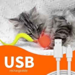 All For Paws Allforpaws Interactive Cat Toy Thrill Jumping Ball Cat Toy, Orange -BlueBuffalo Sales Store GUEST e0c82241 5d7c 4999 b642 03454eac931b