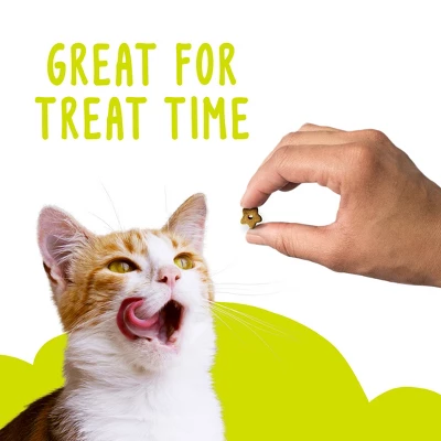 Friskies All Ages Crunchy Cat Treats With Chicken & Bacon Flavor - 6oz 10 Friskies All Ages Crunchy Cat Treats With Chicken & Bacon Flavor - 6oz - Image 10