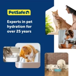 PetSafe 4pk Dog And Cat IonX Automated Fountain Filter -BlueBuffalo Sales Store GUEST e3f8d3d1 dcdd 4a21 8094 2972316febf7