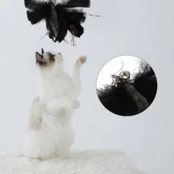 Unique Bargains Cat Feather Plaything Cat Wand Replacement Feather Fluffy Plume Black Brown 3 Pcs 6 Unique Bargains Cat Feather Plaything Cat Wand Replacement Feather Fluffy Plume Black Brown 3 Pcs -BlueBuffalo Sales Store GUEST e5170950 9006 4a47 af44 c4fecadab86e