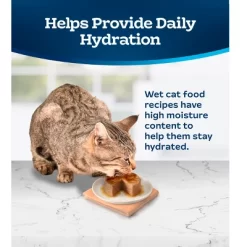 Blue Buffalo Tastefuls Adult Cat Chicken Entree Pate Wet Cat Food - 3oz -BlueBuffalo Sales Store GUEST e5706cb1 fd64 48e8 975c ff763999ec9f
