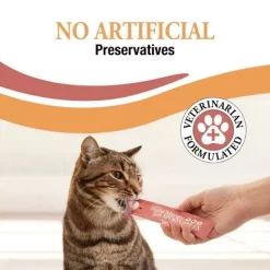 Good 'n' Tasty Spoonables Salmon And Tuna Flavor Cat Treats - 4.9oz/10ct -BlueBuffalo Sales Store GUEST e5f3e634 994a 4652 a95f 970f3d69842e