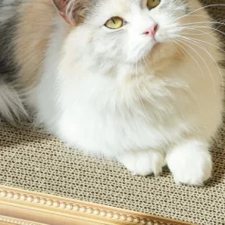 FairyLand™ - Oil Painting Cat Scratcher Bed – Cardboard Cat Scratching Lounge With Artistic Frame Design, Sturdy Corrugated Board, Cat Furniture -BlueBuffalo Sales Store GUEST e5fed1a9 bc38 4c38 af90 e2ee9de91793