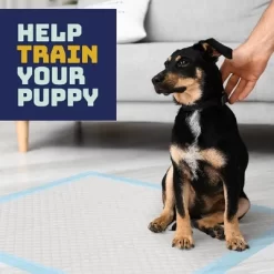 Washable Pet Pads Super Absorbent Waterproof Reusable Pee Pads For Dogs, Washable Puppy Pads For Potty Training, Housebreaking Washable Hexagon Shape -BlueBuffalo Sales Store GUEST ebb20b82 914b 45f6 8577 a9241006028e