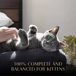 Sheba Perfect Portions Salmon Flavor Soft Pate Kitten Wet Cat Food - 2.64oz 17 Sheba Perfect Portions Salmon Flavor Soft Pate Kitten Wet Cat Food - 2.64oz -BlueBuffalo Sales Store GUEST ed325381 1211 40d9 b538 6d06a613eb27