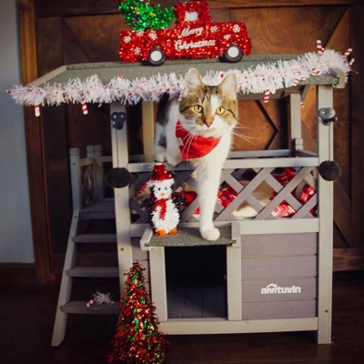 Aivituvin Outdoor/ Indoor Two Story Cat House(Inner Space 5.2 Ft²)-AIR09-B 4 Aivituvin Outdoor/ Indoor Two Story Cat House(Inner Space 5.2 Ft²)-AIR09-B - Image 4