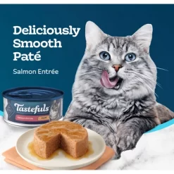 Blue Buffalo Tastefuls Natural Pate Wet Cat Food With Salmon Entrée - 5.5oz -BlueBuffalo Sales Store GUEST f136a95d 7442 46cd 9301 bee7bd1471d0