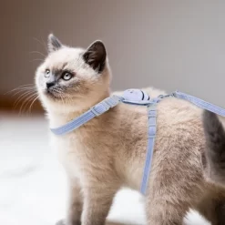 Unique Bargains Cat Harness And Leash Set -BlueBuffalo Sales Store GUEST f2c1e011 4f88 43c0 913e d4cc3262d28a
