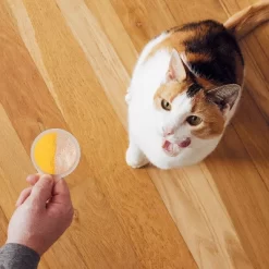 Temptations All Ages Cat Treats With Cheese And Chicken Flavor - 1.41oz/4ct -BlueBuffalo Sales Store GUEST f4d77cc8 0a33 4cdf 9101 c95cb72af0d1