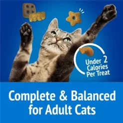 Purina Friskies Party Mix Beachside Crunch Crunchy With Chicken And Seafood Flavor Cat Treats -BlueBuffalo Sales Store GUEST f723caff 01b9 4ac6 91ec 4cef61a1bf25
