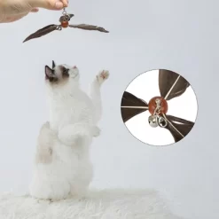 Unique Bargains Cat Feather Plaything Cat Wand Replacement Feather Compact Hair Dark Brown 3 Pcs 6 Unique Bargains Cat Feather Plaything Cat Wand Replacement Feather Compact Hair Dark Brown 3 Pcs -BlueBuffalo Sales Store GUEST f74ae9bd aad3 44ad 84d2 c28763b43da2