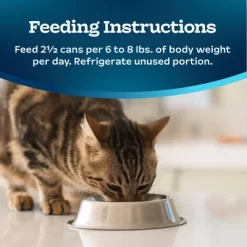 Blue Buffalo Tastefuls Natural Tender Morsels Wet Cat Food With Chicken Entrée - 3oz -BlueBuffalo Sales Store GUEST f826e7af 0fb1 42d0 b48e 24a5b04e8d29