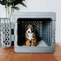 KindTail PAWD Cat And Dog Crate -BlueBuffalo Sales Store GUEST fa6b4ce0 44be 483e 994a 76f4b2f1cd60