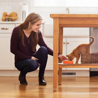 IAMS Proactive Health With Chicken Kitten Premium Dry Cat Food 4 IAMS Proactive Health With Chicken Kitten Premium Dry Cat Food - Image 4