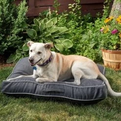 Winn + Willow Sadie Piping Dog And Cat Bed - Charcoal And Gray -BlueBuffalo Sales Store GUEST fcf7760b 0ff3 422f 99fd abe85dac36ab