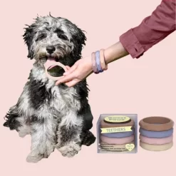 Sweet Paws Silicone Teether Stack Toy Set -BlueBuffalo Sales Store GUEST fd61c63c 17ba 4c80 bc02 84d23f14697e